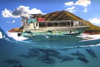 オアフ島イルカツアー03