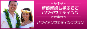 ムームーレインボー プラン