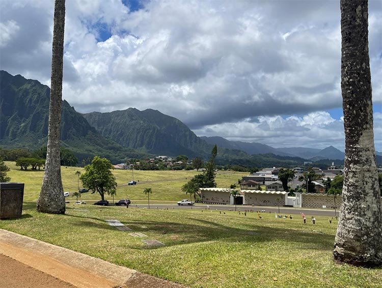 広大な山の景色も一望できます。